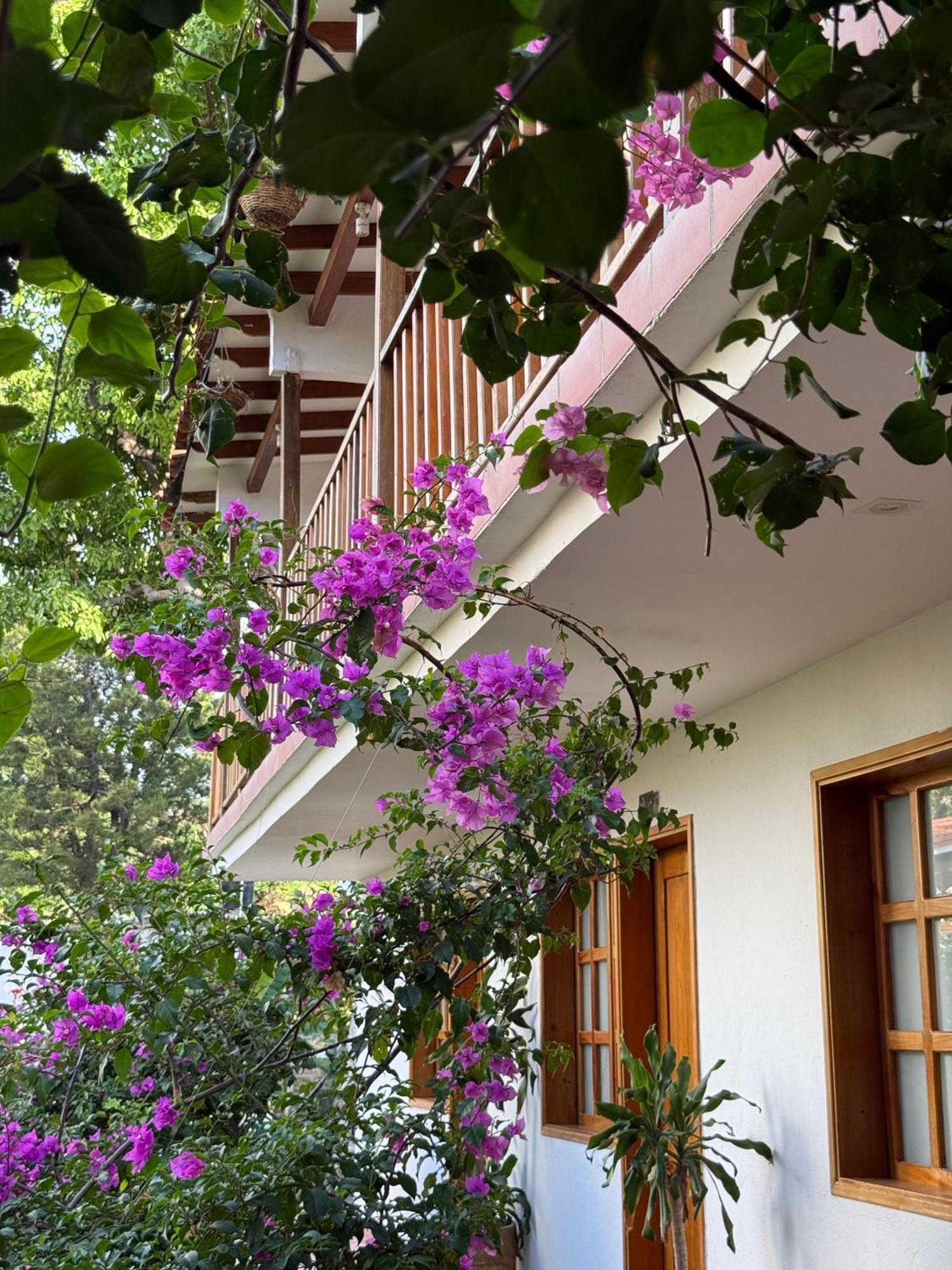 Hotel Jardin Boutique Rodadero Santa Marta  Exterior foto